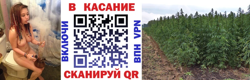 Наркошоп Гатчина A PVP Cocaine АМФ Канабис Гашиш Меф