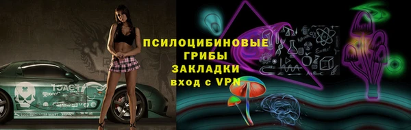 Альфа ПВП Арсеньев