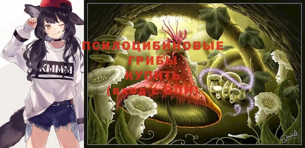 Альфа ПВП Арсеньев
