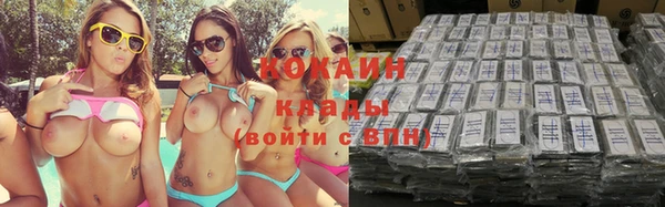spice Новодвинск