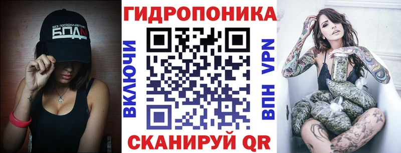 Каннабис гибрид Гатчина