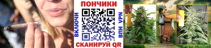 Бошки Шишки конопля  Гатчина 